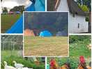 Bishops lydeard views