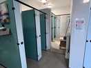 Female toilet block