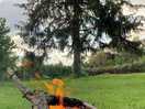 Evening campfire