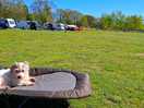Lovely large spacious field with plenty of room.