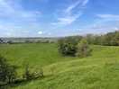 Line kiln field