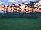 View from our tent at sunset.