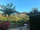 Paradise