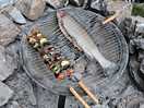 Local trout