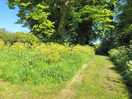 Pathways through out the campsite
