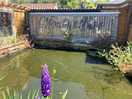 Monty’s bar