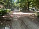 Main drive through campsite