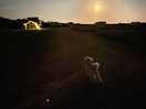 Tedboy under the moon