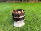 Fire pit