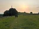Lovely evening walk just opposite the higher camp site