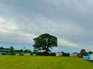 Field area