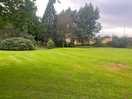 View of grounds
