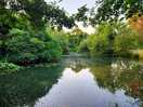 Lovely lake