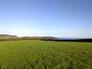 View from dove pitch
