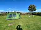 Pitches in dog free paddock