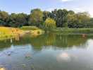 The lake