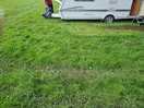 Long grass muddy