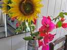 Lavamanos del lavabo con flores frescas