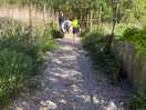 Path from campsite down to the river