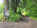 Activity areas