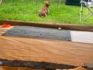Bell tent glamping experience.