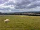 Our neighbours