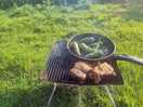 Chicken and pedron peppers