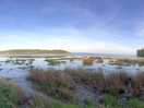 Laugharne- high tide