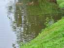 Riverside
