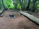 Site