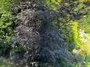 Just loved the shade in the gardens