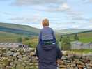 Views of the farm