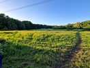 View across camping field from toilets