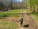 Walking in the woods.