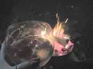 Firepit/bbq