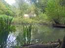 Fishing lake