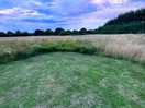 Meadow pitch