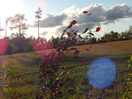 Scenery