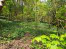 St nectan's vale