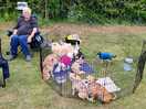 Happy dogs in their pen
