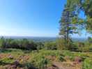 Leith hill