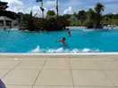 Amazing swimming pool, lovely and clean.