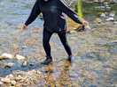 Creek ramble