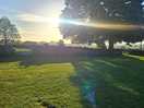 Morning at longfield farm.