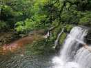 Falls