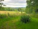 View from the hill