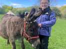 Meet the donkey