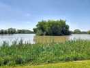Lake near cheddar ales