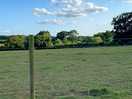 Pitch view