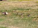 Mother and offspring